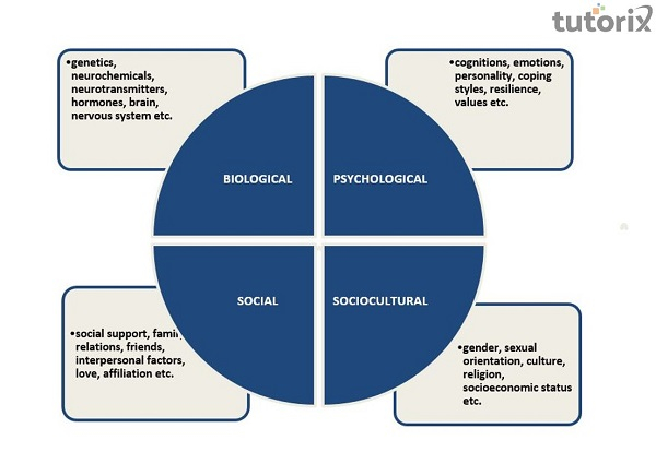 Factors Underlying Abnormal Behavior