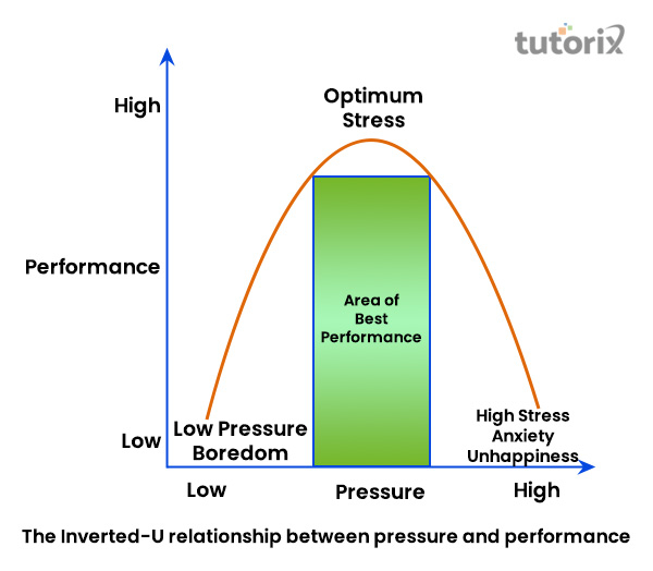 Stress And Burnout