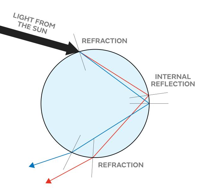 What Is A Rainbow Draw A Labelled Diagram To Show Tutorix | Images And ...