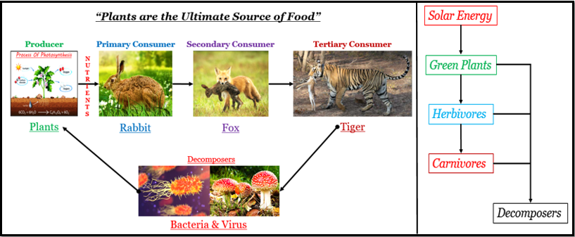 define-an-ecosystem-draw-a-block-diagram-to-show-t-tutorix