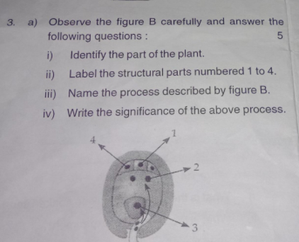 Observe The Figure B Carefully And Answer The Foll - Tutorix