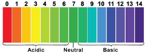 a What would you expect the pH of pure water to be - Tutorix