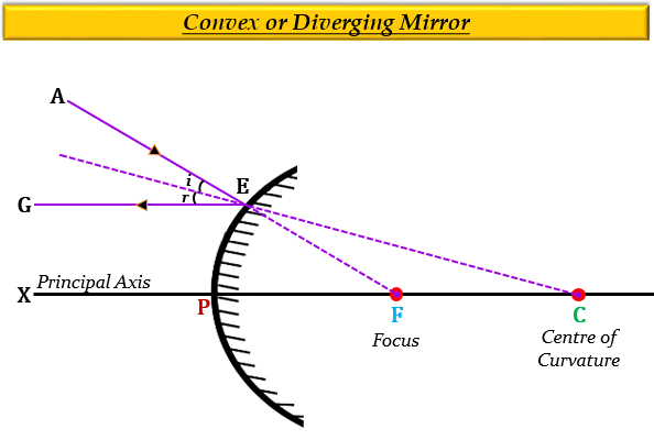 Draw a ray diagram to show the path of the reflect - Tutorix