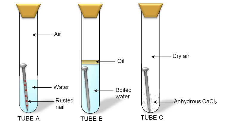 What is rusting Describe with a labeled diagram an - Tutorix