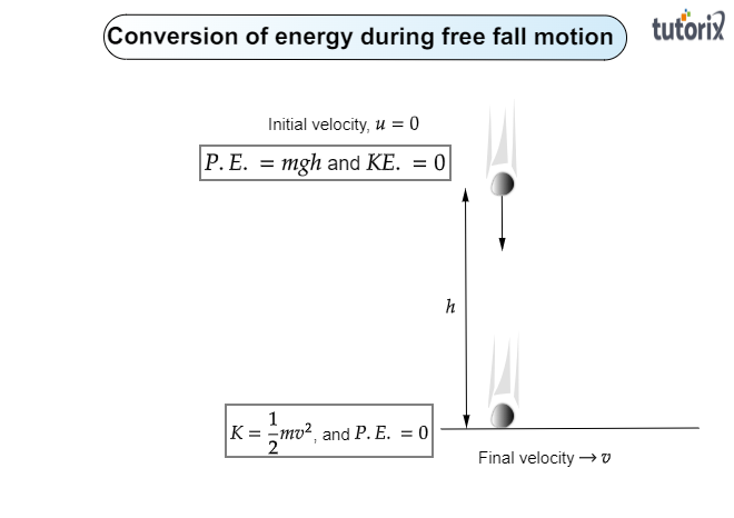 A Freely Falling Object Eventually Stops Reaching - Tutorix