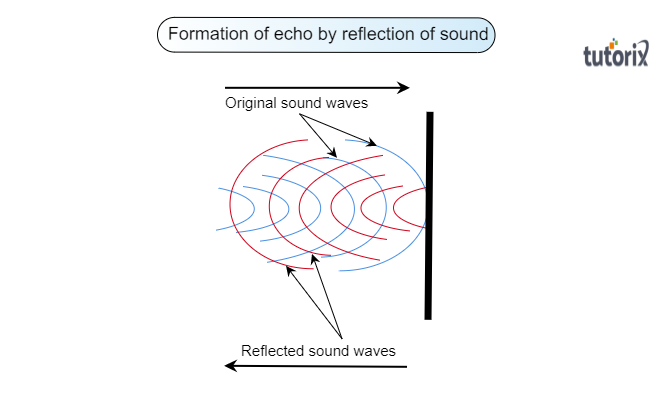 When a sound is reflected from a distant object an - Tutorix