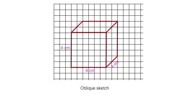 Two Cubes Each with 3 Cm Edge Are Placed Side by Side to Form a Cuboid  for this Cuboid Draw I an Oblique Sketch Ii an Isometric Sketch   Mathematics  Shaalaacom