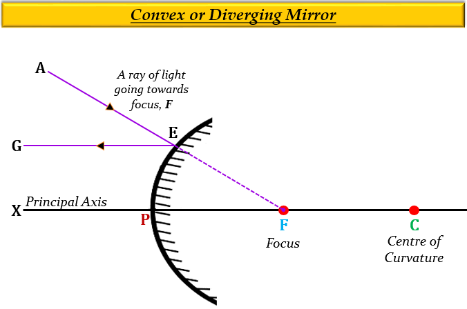 a-ray-of-light-going-towards-the-focus-of-a-convex-tutorix