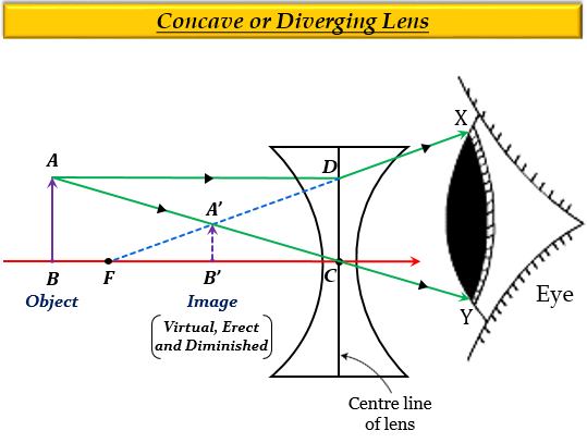 Show by drawing a ray diagram that the image of an - Tutorix