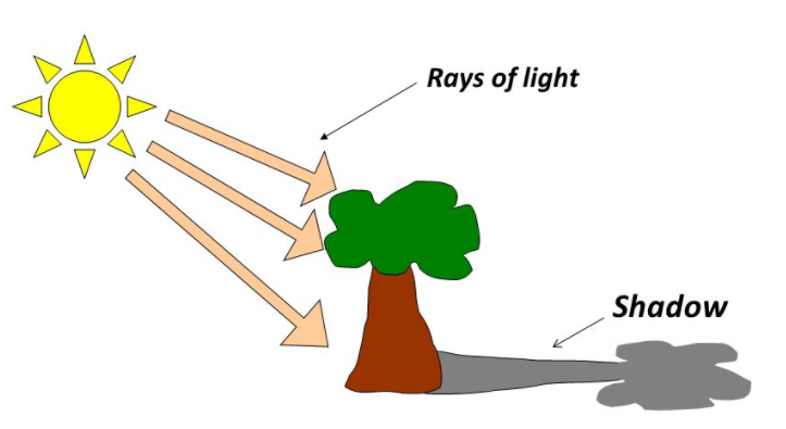 How Is A Shadow Formed Tutorix